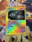 Buried Fossil