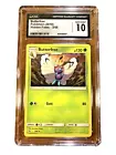 Butterfree