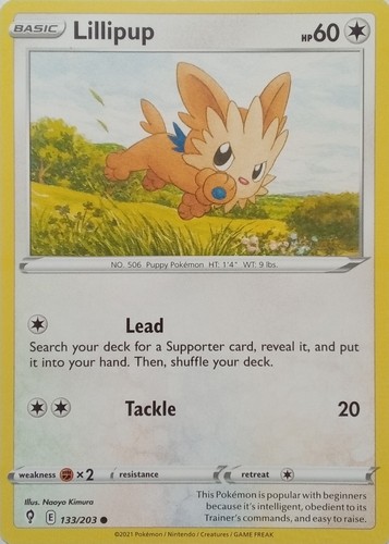 Lillipup