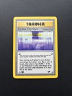 Fuchsia City Gym