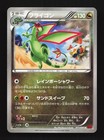 Flygon ex