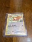Bidoof