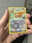 Bidoof