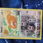 Bidoof