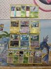 Shinx