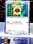 Poncho-Wearing Eevee 
