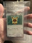 Poncho-Wearing Eevee 