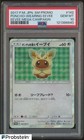 Poncho-Wearing Eevee 
