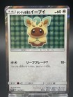 Poncho-Wearing Eevee 