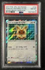 Poncho-Wearing Eevee 