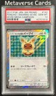 Poncho-Wearing Eevee 