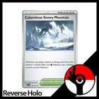 Calamitous Snowy Mountain