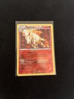 Rapidash