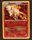 Rapidash