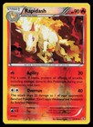 Rapidash