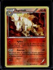Rapidash