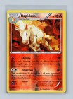 Rapidash