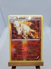 Rapidash