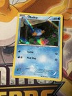 Mudkip