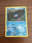 Mudkip