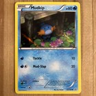Mudkip