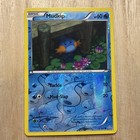 Mudkip