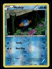Mudkip