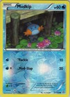 Mudkip