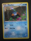 Mudkip