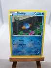 Mudkip