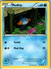 Mudkip
