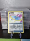 Big Parasol