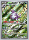 Nidoking