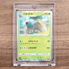 Torterra