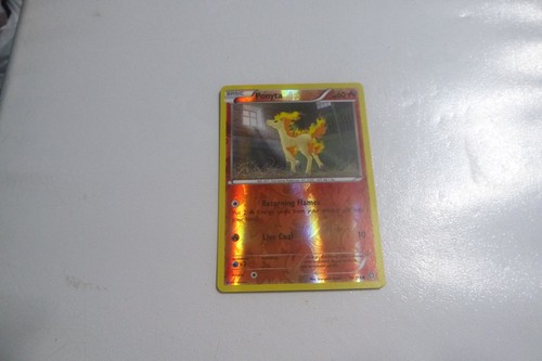Ponyta