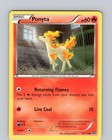 Ponyta