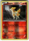 Ponyta