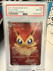 Victini