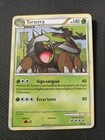 Torterra