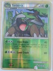 Torterra