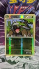 Torterra