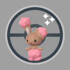 Buneary