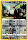 Pidove