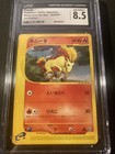 Rapidash