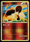 Torkoal