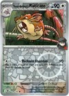 Team Rocket's Raticate