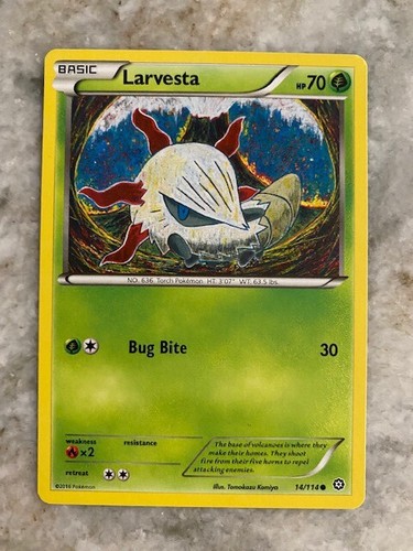 Larvesta
