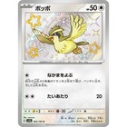 Pidgey