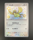 Pidgey