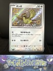 Pidgey